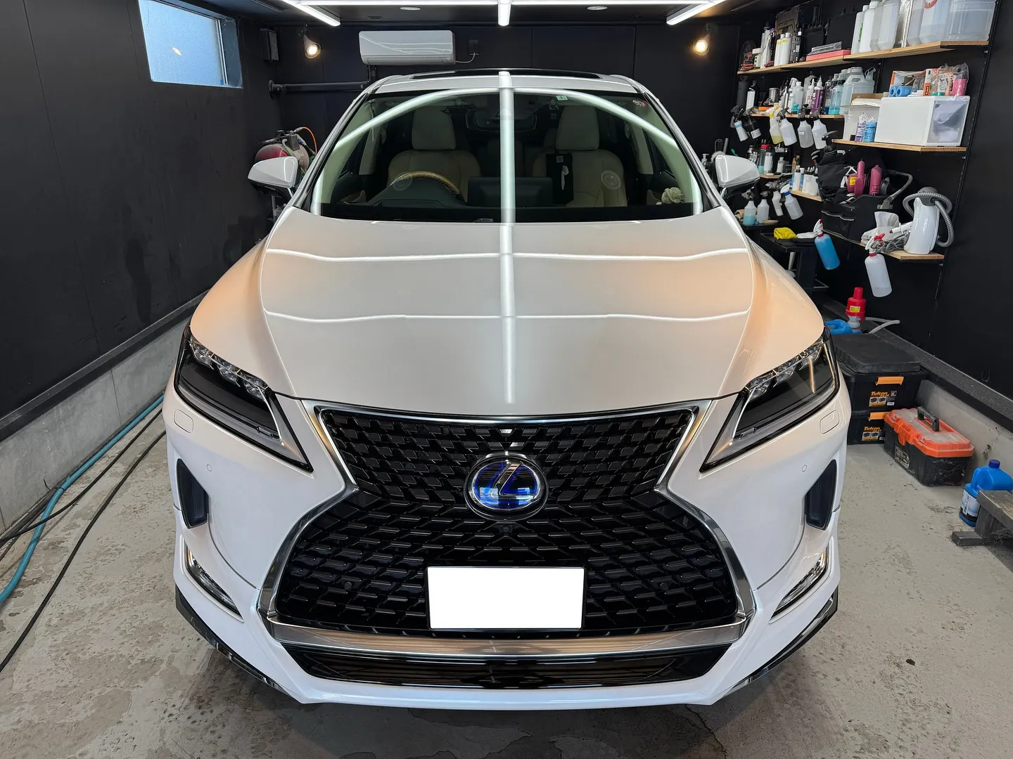 LEXUS NX450h 下地処理研磨＋C3コート🚗✨