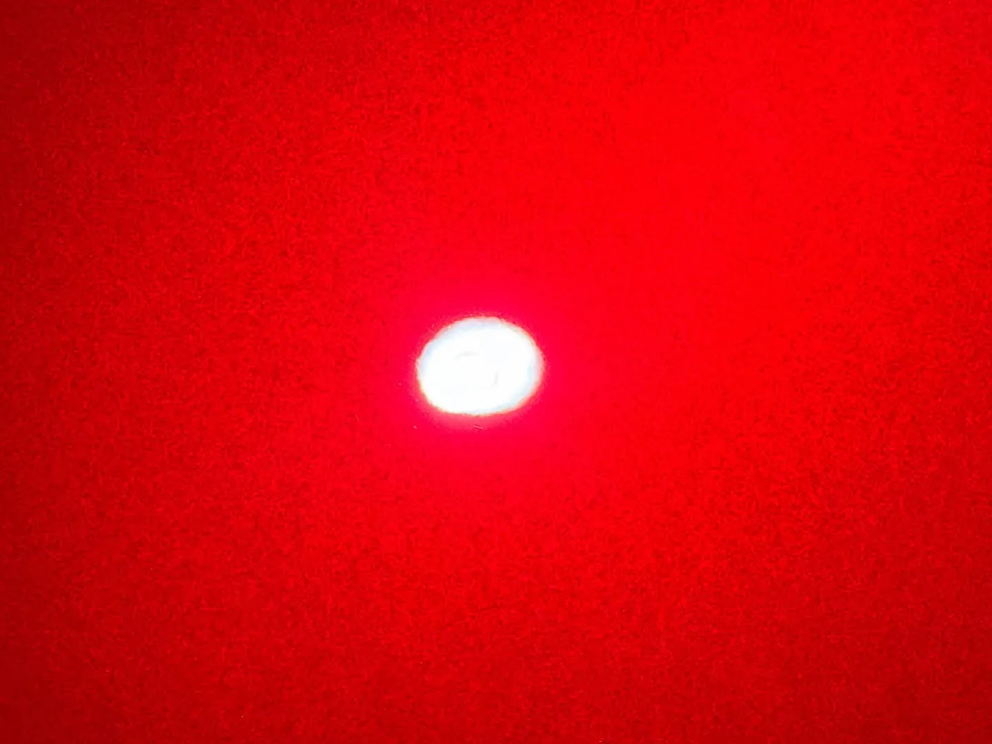 MAZDA CX-5 ボンネット 研磨＋MoshEVO