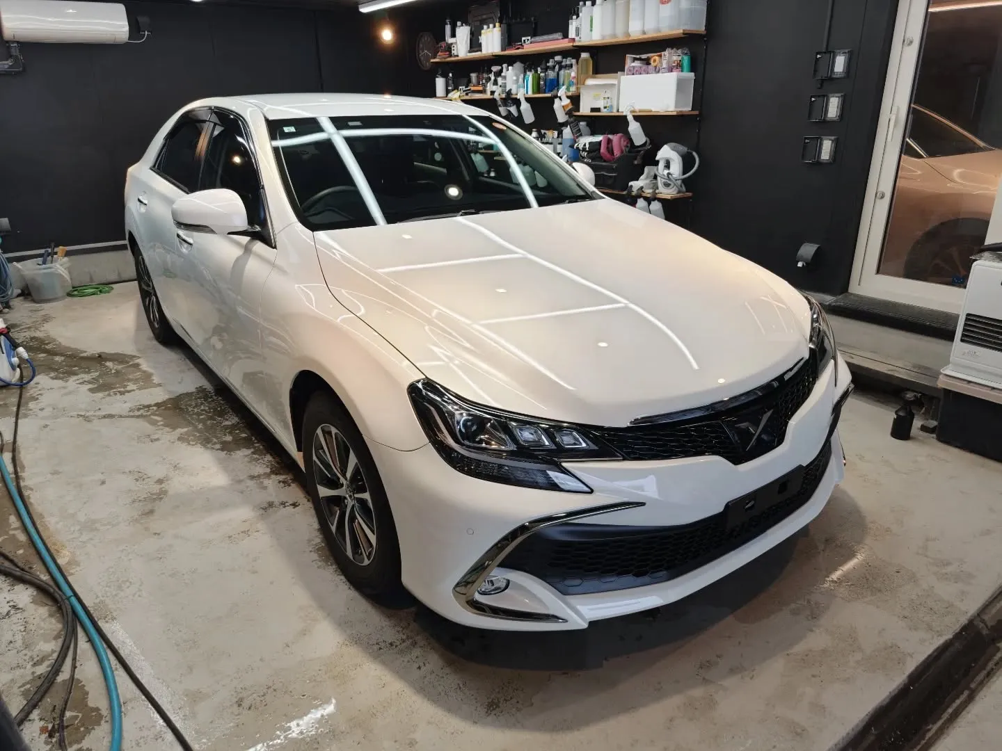 トヨタ マークX　研磨＋PureEVO