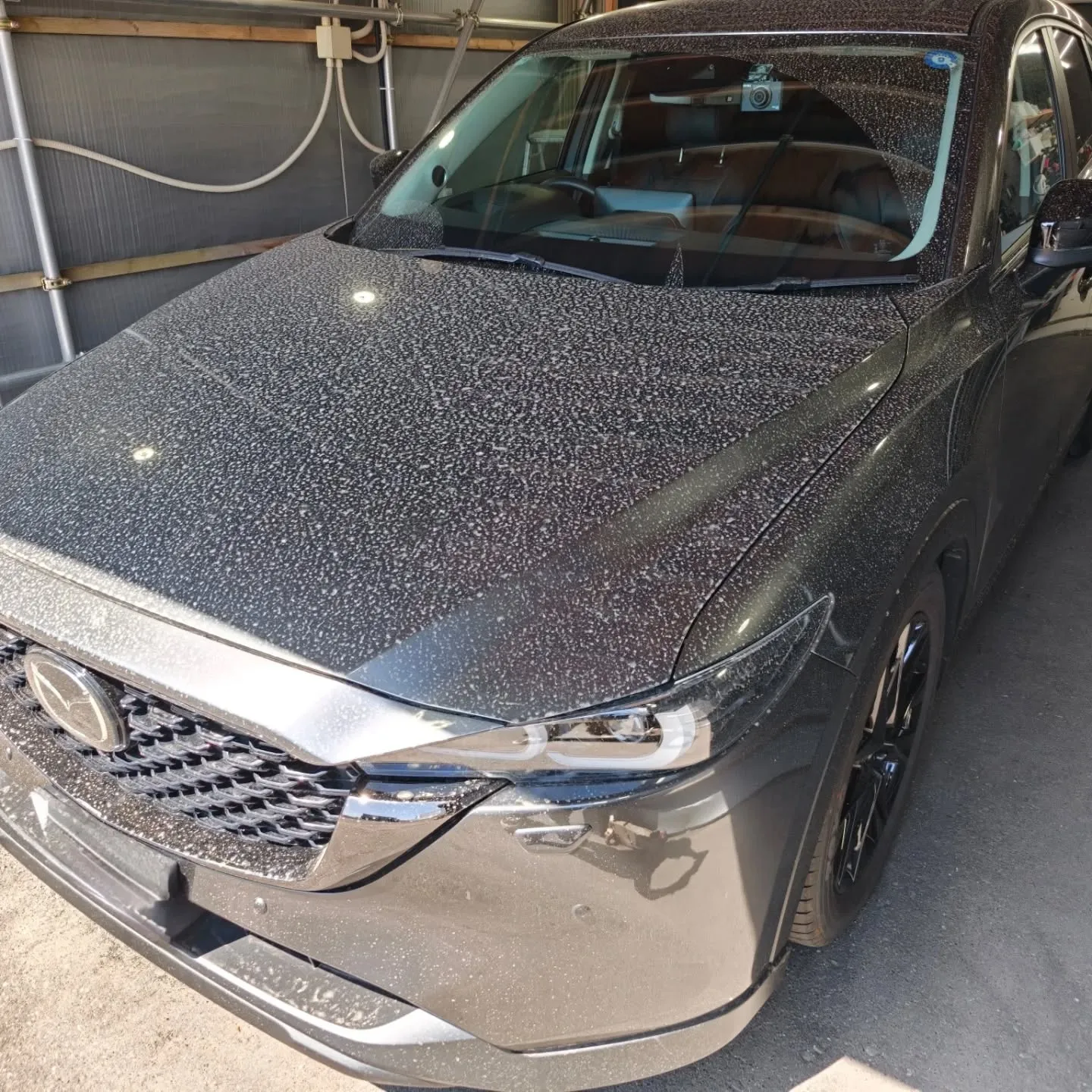 クレンジングメンテナンス🚗🫧✨