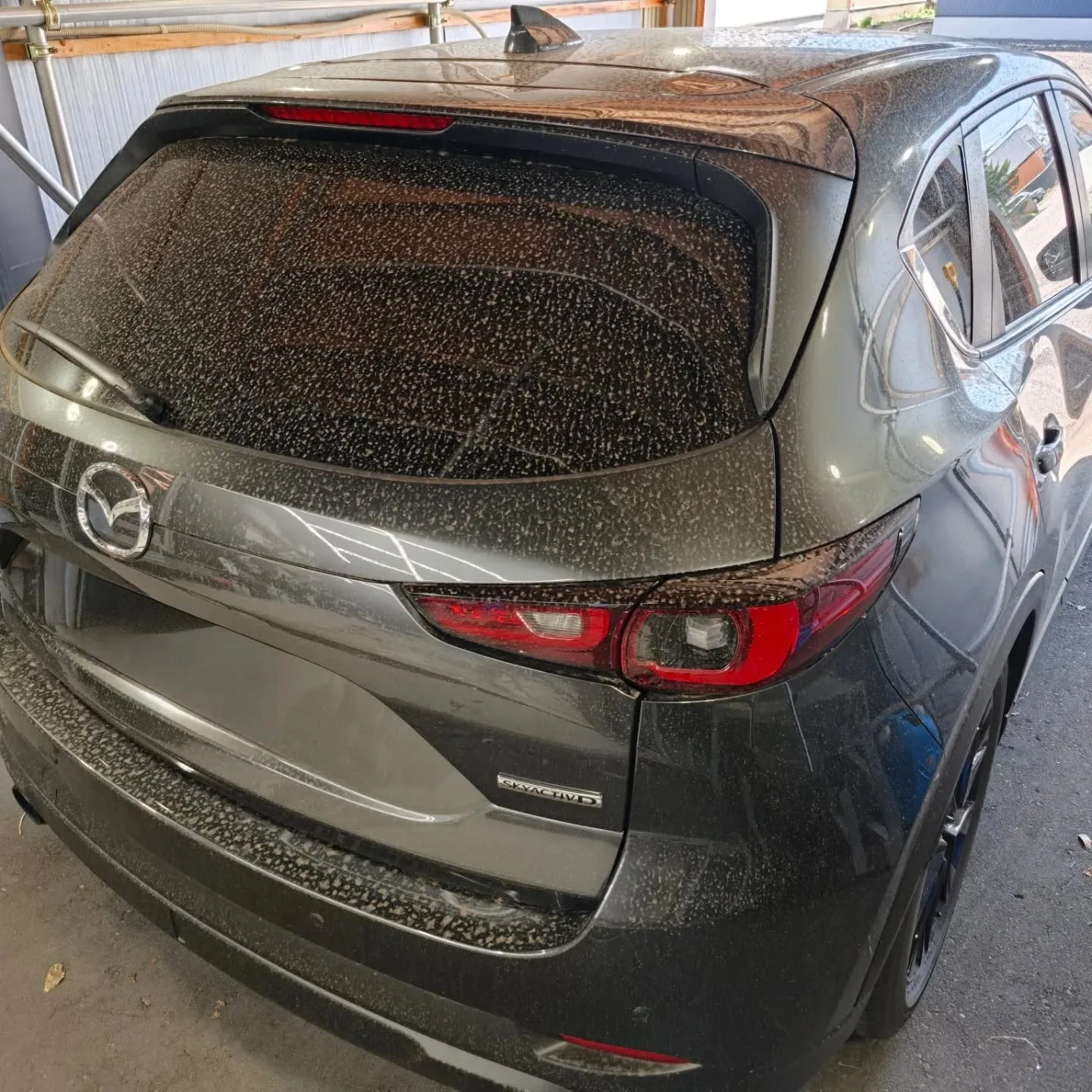 クレンジングメンテナンス🚗🫧✨