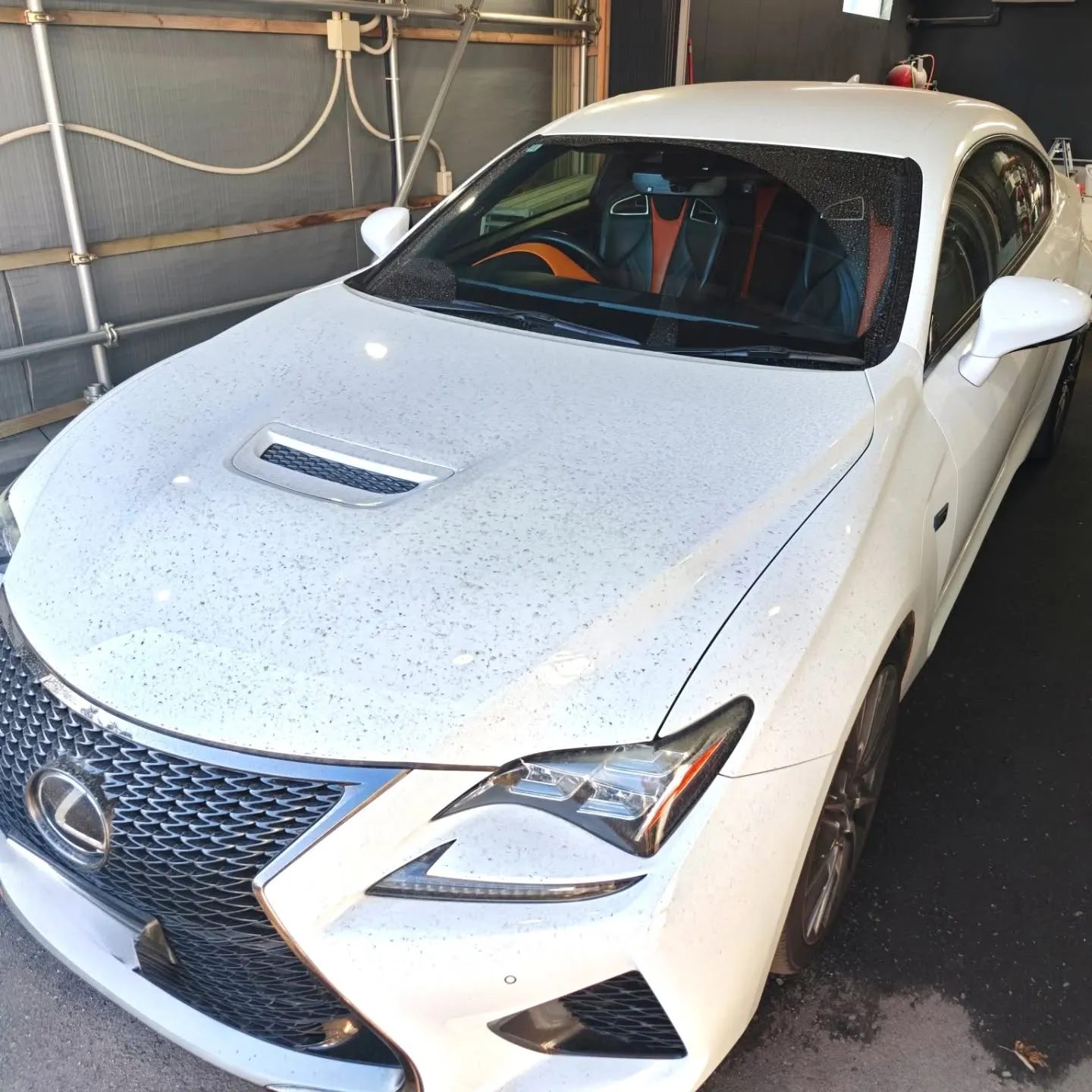 手洗い洗車🖐️🫧