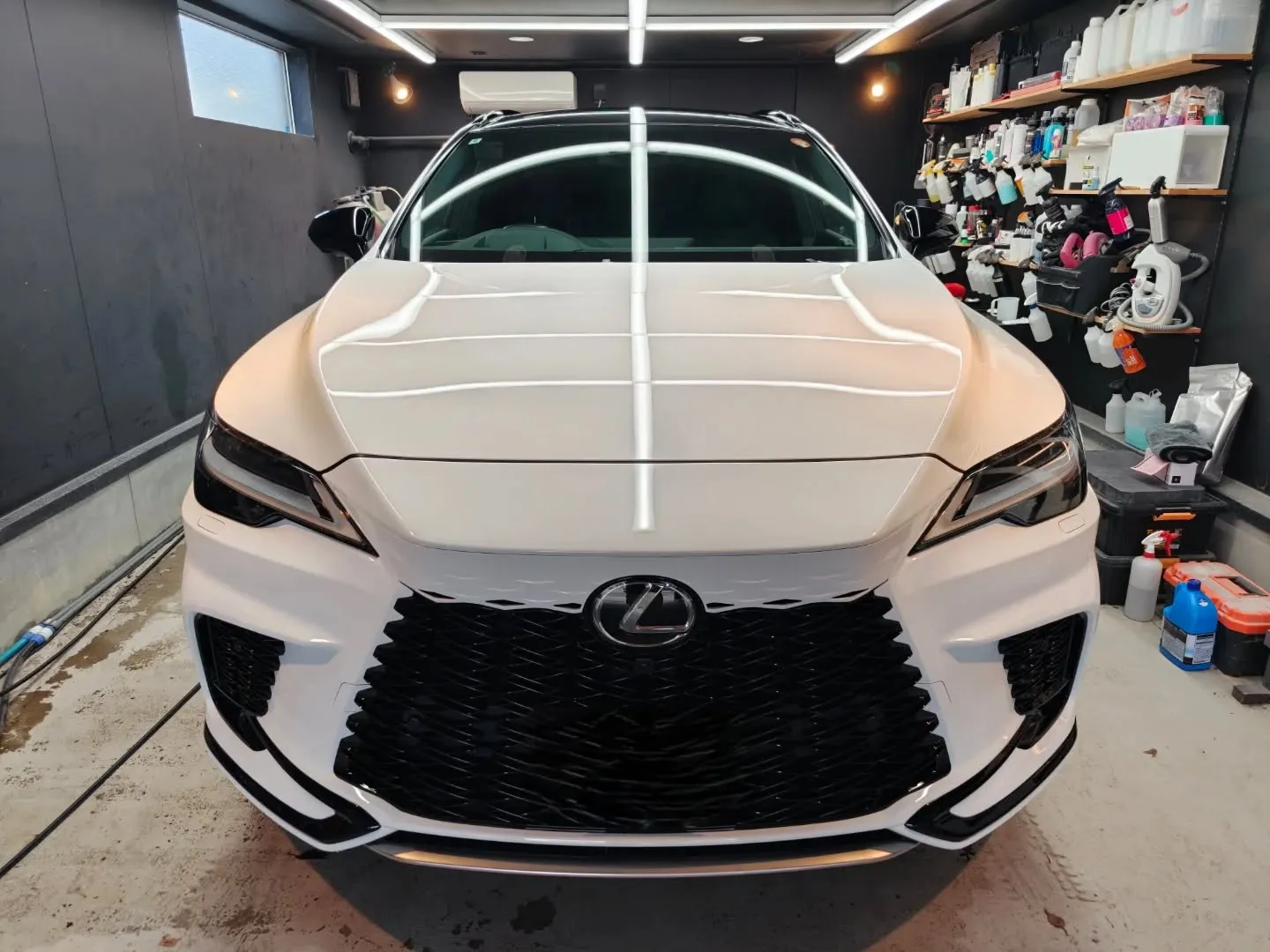 LEXUS RX500h 下地処理研磨＋C3コート
