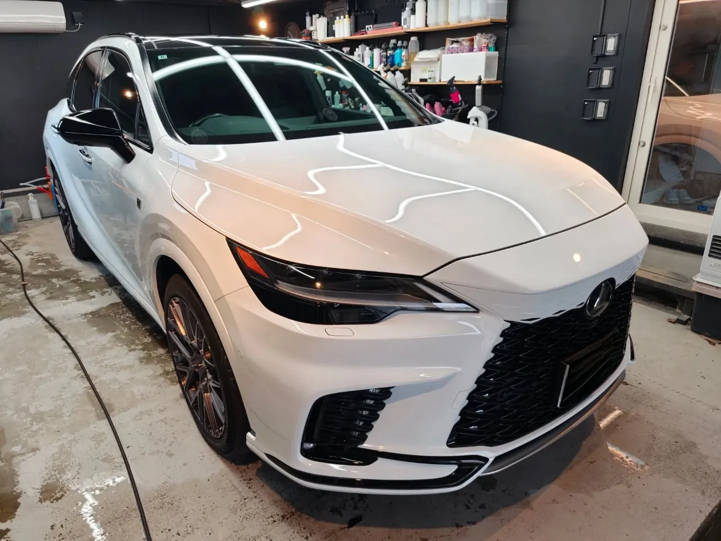 LEXUS RX500h 下地処理研磨＋C3コート