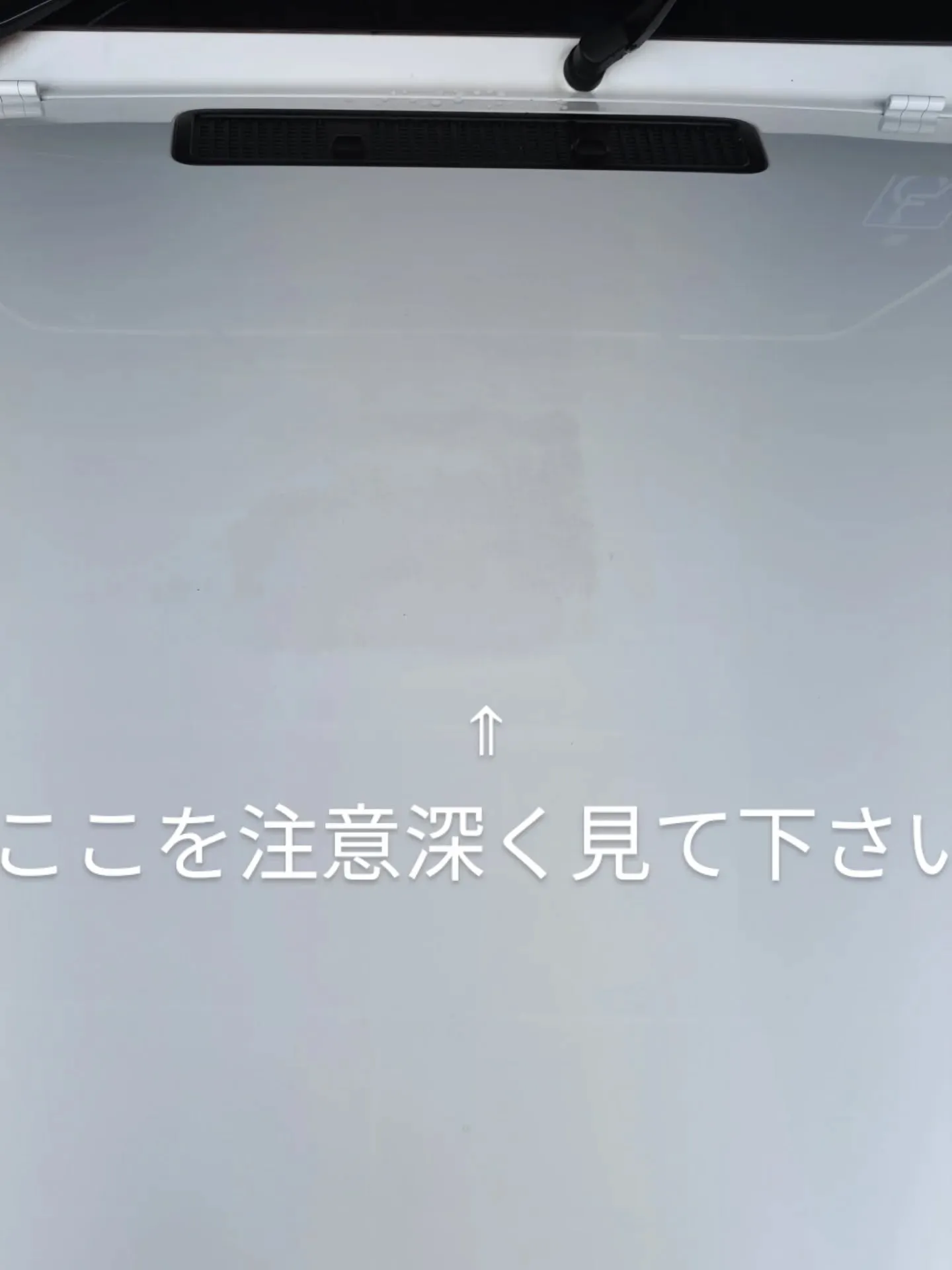 クレンジングメンテナンス🚗🫧✨