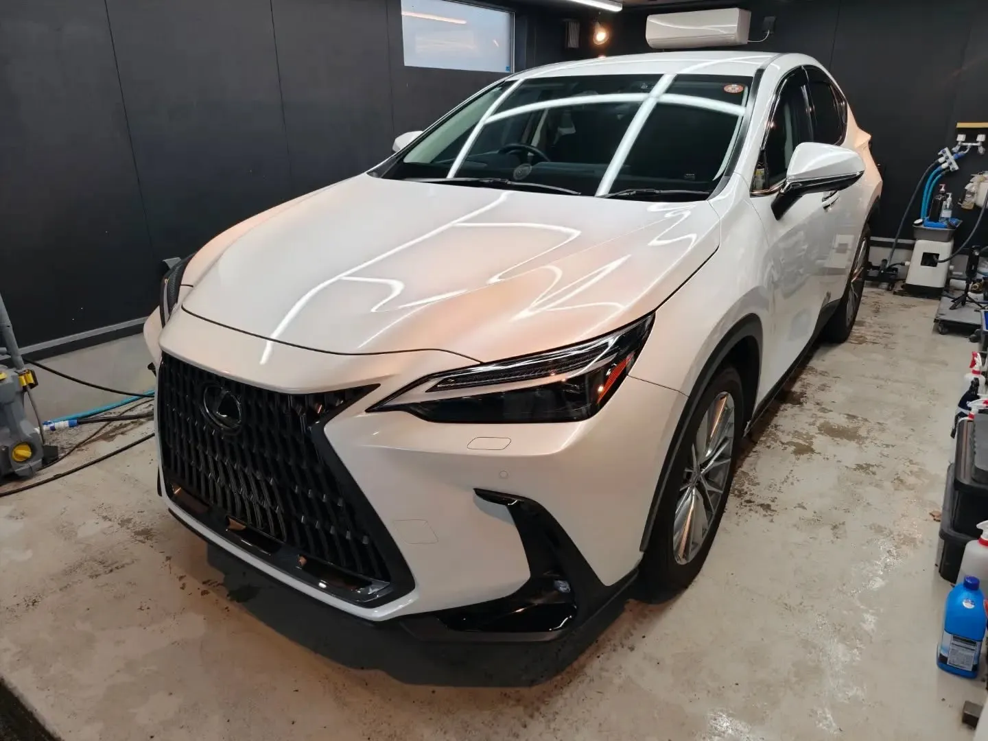LEXUS NX350h 下地処理研磨＋OYコーティング