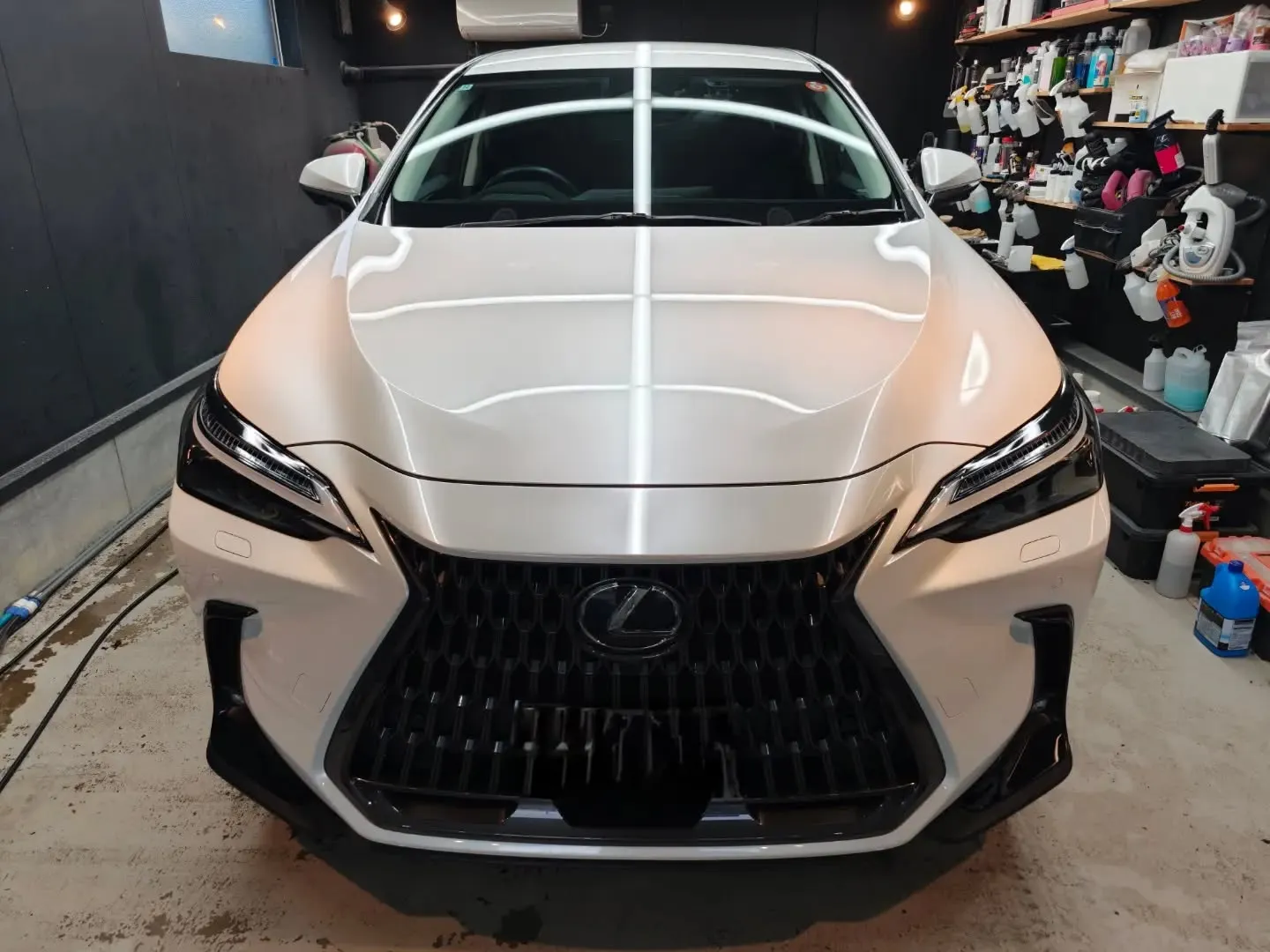 LEXUS NX350h 下地処理研磨＋OYコーティング