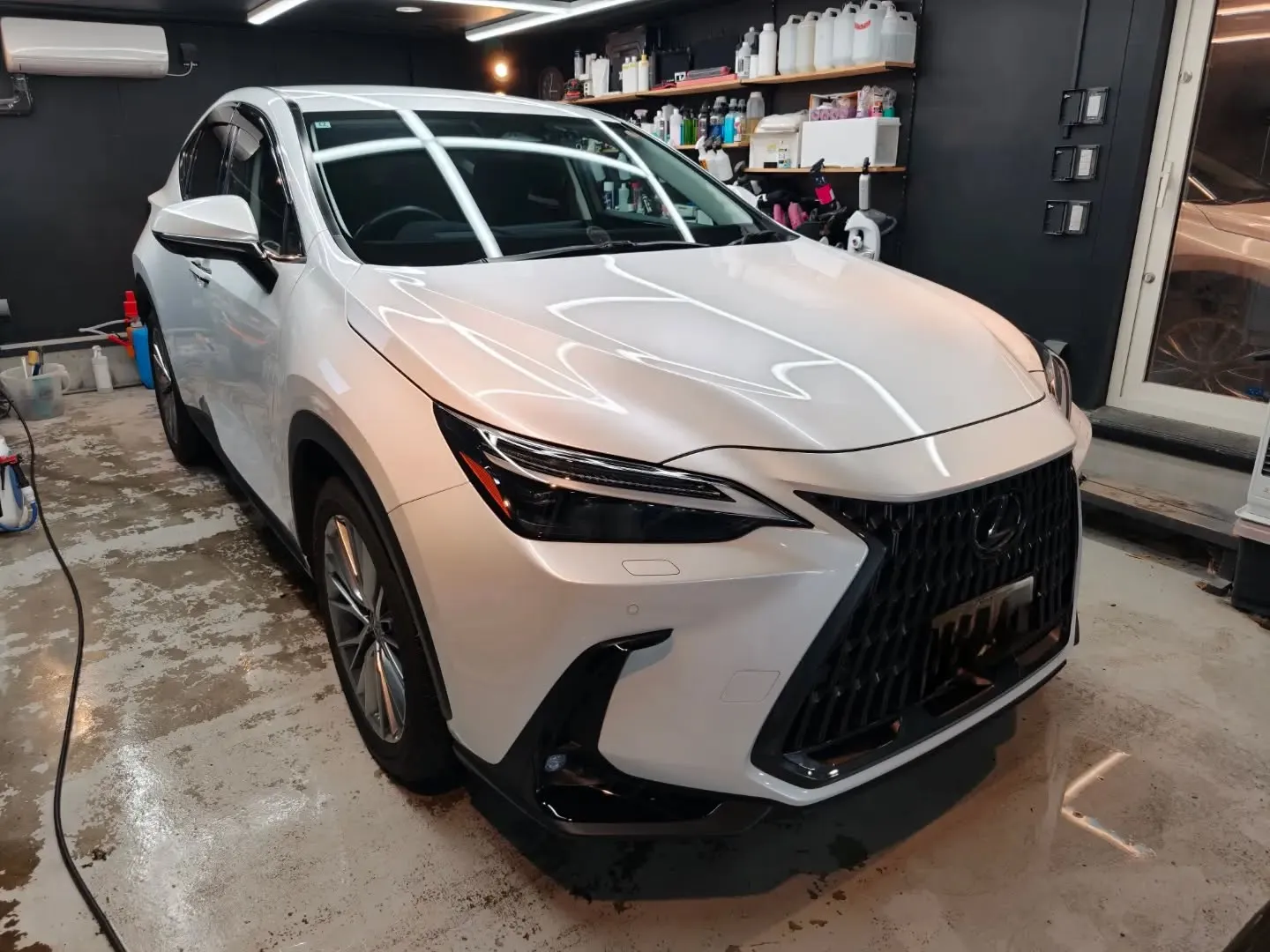 LEXUS NX350h 下地処理研磨＋OYコーティング
