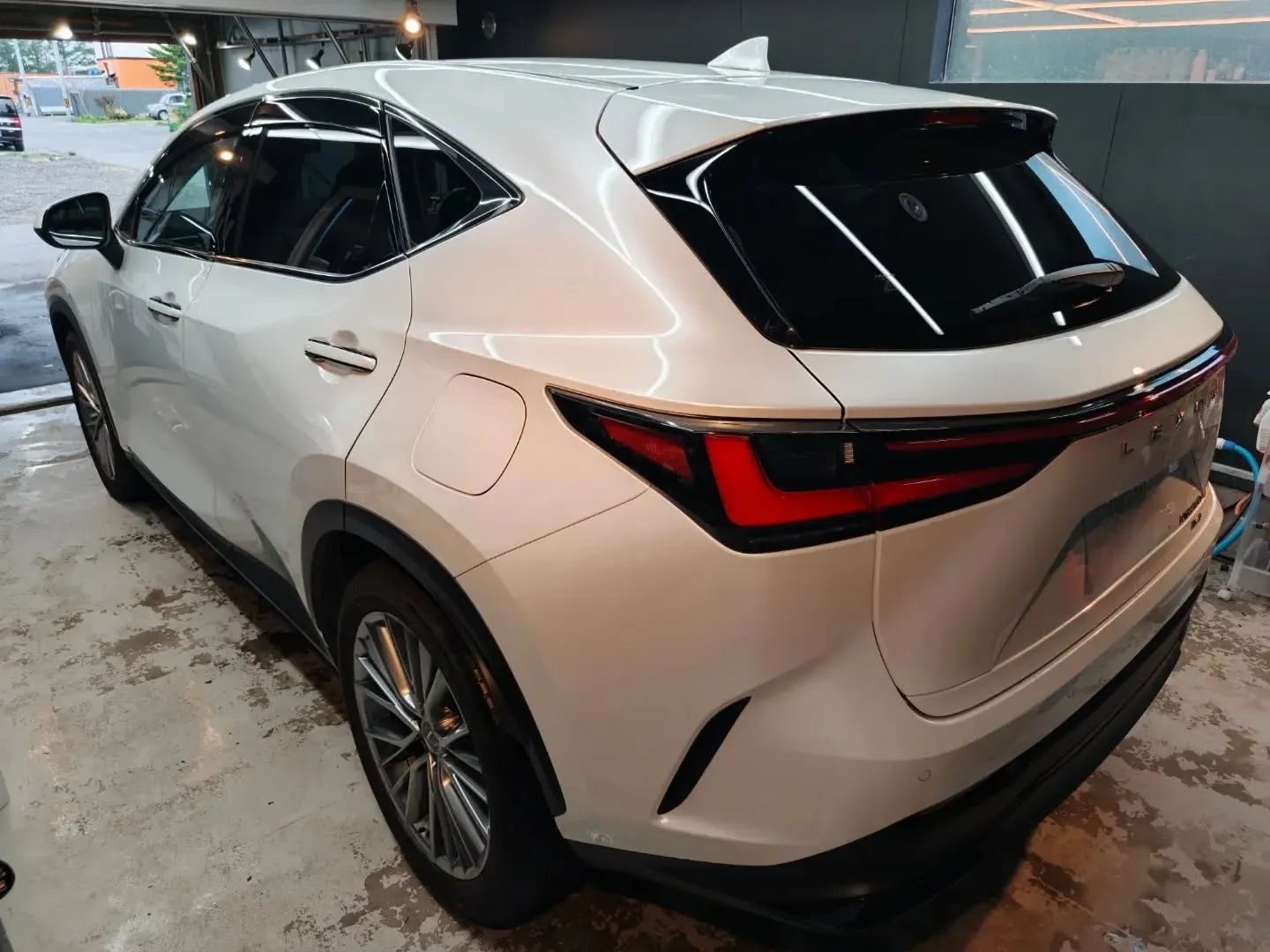 LEXUS NX350h 下地処理研磨＋OYコーティング