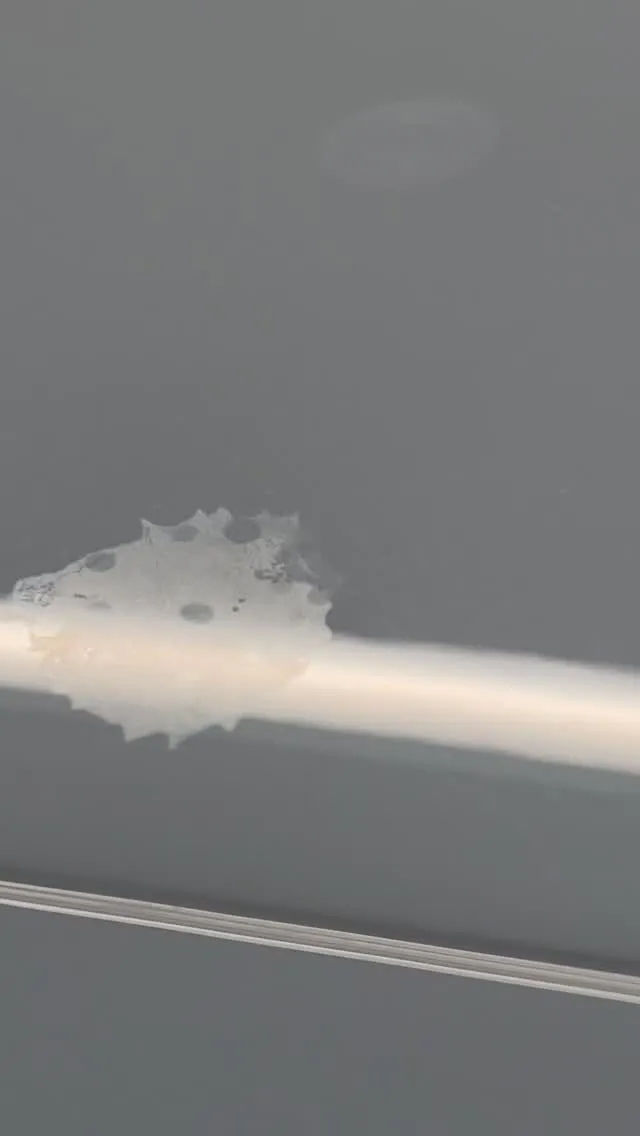 鳥糞跡🐦‍⬛💩